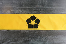 Load image into Gallery viewer, Lock Bandana