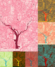 Load image into Gallery viewer, Washington D.C. City Map Print