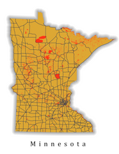 Load image into Gallery viewer, Custom State Map Print