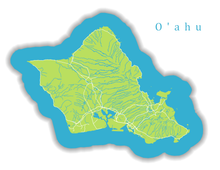 Load image into Gallery viewer, Oahu State Map Print