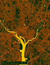 Load image into Gallery viewer, Washington D.C. City Map Print