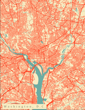Load image into Gallery viewer, Washington D.C. City Map Print