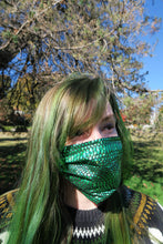 Load image into Gallery viewer, Blue Snake Skin Face Mask - Washable