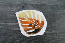 Load image into Gallery viewer, Monstera Leaf Jungle - Decal/Sticker