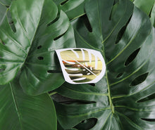 Load image into Gallery viewer, Monstera Leaf Jungle - Decal/Sticker