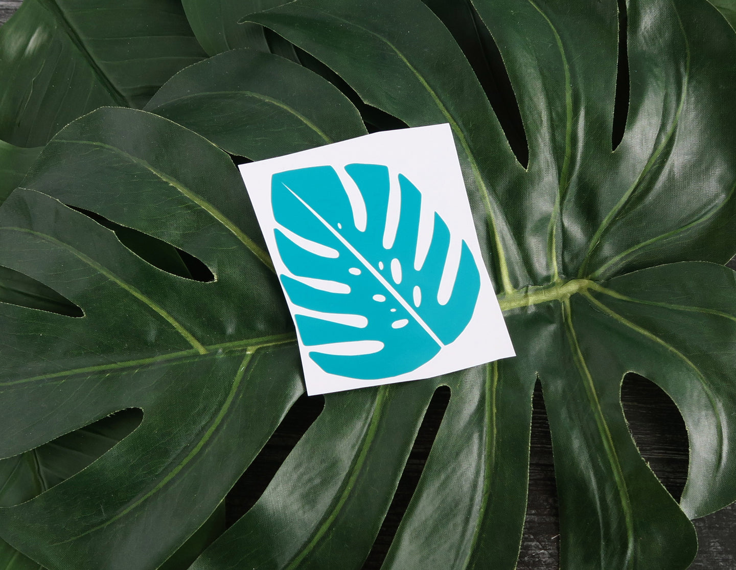 Monstera Leaf Jungle - Decal/Sticker