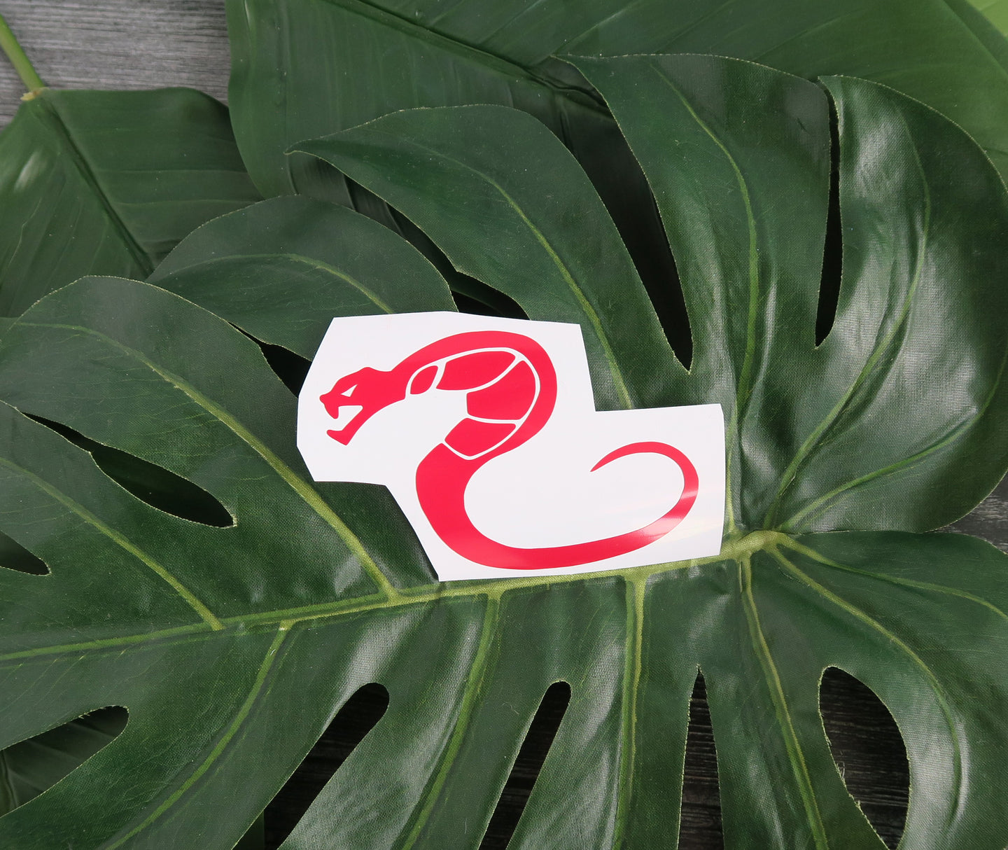 Snake Cobra - Decal/Vinyl Sticker