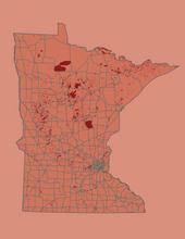 Load image into Gallery viewer, Minnesota State Map Print
