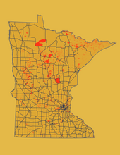 Load image into Gallery viewer, Minnesota State Map Print
