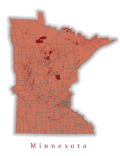 Load image into Gallery viewer, Custom State Map Print
