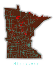 Load image into Gallery viewer, Minnesota State Map Print
